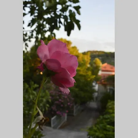 Amazing Sea View Apartment Tisno Exterior photo